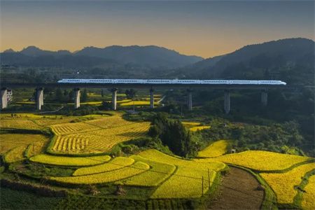 c2395ae81d8fd4dfcad5ef26f73e56fc.jpg c2395ae81d8fd4dfcad5ef26f73e56fc.jpg