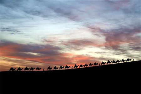 7560fd39b724c0a508c396fbe080d79b.jpg 7560fd39b724c0a508c396fbe080d79b.jpg