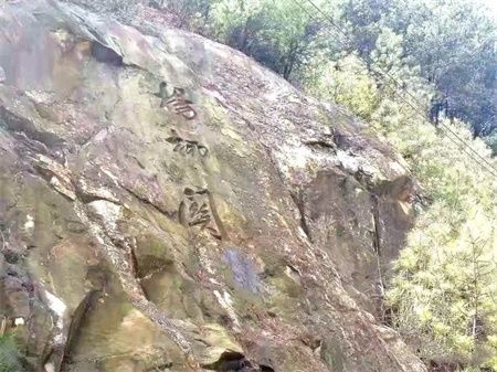 efe2a44986a15542156b16b693e5465f.jpg efe2a44986a15542156b16b693e5465f.jpg