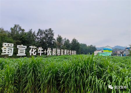 80d7144432f97fb2e8ffb5f5f5681a18.jpg 80d7144432f97fb2e8ffb5f5f5681a18.jpg