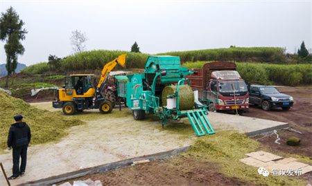 dc6399cef714ed25d5f125d022a5b52f.jpg dc6399cef714ed25d5f125d022a5b52f.jpg