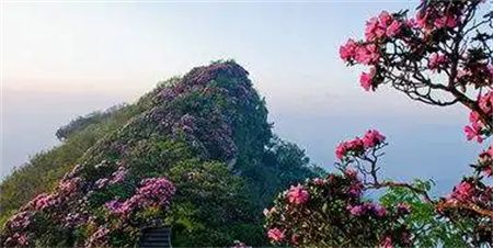 1bfa42628fe65d8bd343117af1d4958e.jpg 1bfa42628fe65d8bd343117af1d4958e.jpg