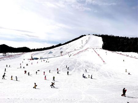 98debd15b3ab484805a89882d8a01172.jpg 98debd15b3ab484805a89882d8a01172.jpg