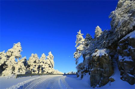 d8dd375253e363253a441a79c3e37888.jpg d8dd375253e363253a441a79c3e37888.jpg