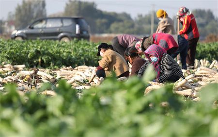 3100fccd4822ab57e991c6362aadebf1.jpg 3100fccd4822ab57e991c6362aadebf1.jpg