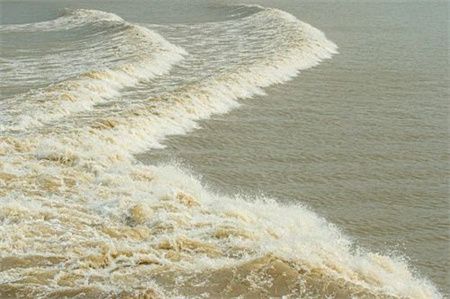 46b5a2b37b446372701221ba34d48480.jpg 46b5a2b37b446372701221ba34d48480.jpg