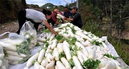 6da8efb464056f48a3ee8a27ca807ebe.jpg 6da8efb464056f48a3ee8a27ca807ebe.jpg