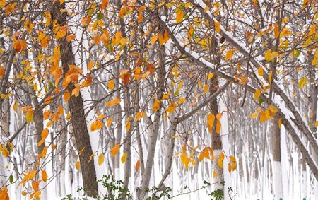 9f678e56077b97ca8c7c8a1fa4ed530e.jpg 9f678e56077b97ca8c7c8a1fa4ed530e.jpg