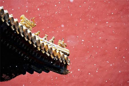 a6da05358395a29ce0cccd046610732c.jpg a6da05358395a29ce0cccd046610732c.jpg