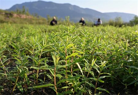 226ad7daafcb1475be19c1afeae37e84.jpg 226ad7daafcb1475be19c1afeae37e84.jpg