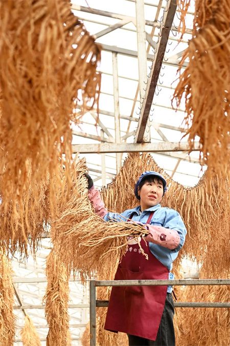 63d61d60920f447c7719ea82ba1bfadc.jpg 63d61d60920f447c7719ea82ba1bfadc.jpg