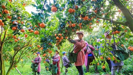 085131d028b4c30fb4ead3b5b76c8674.jpg 085131d028b4c30fb4ead3b5b76c8674.jpg