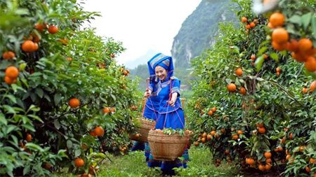 51e4f39ccd93adf0d5985b72a9b92680.jpg 51e4f39ccd93adf0d5985b72a9b92680.jpg