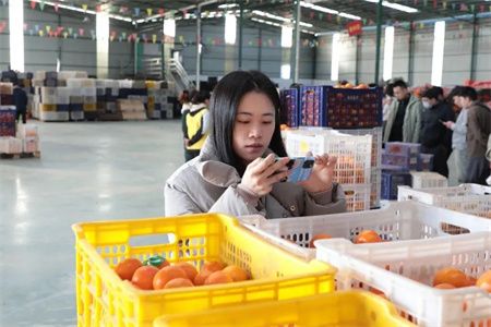 8a795819491b6d3d2098edf54d927d50.jpg 8a795819491b6d3d2098edf54d927d50.jpg