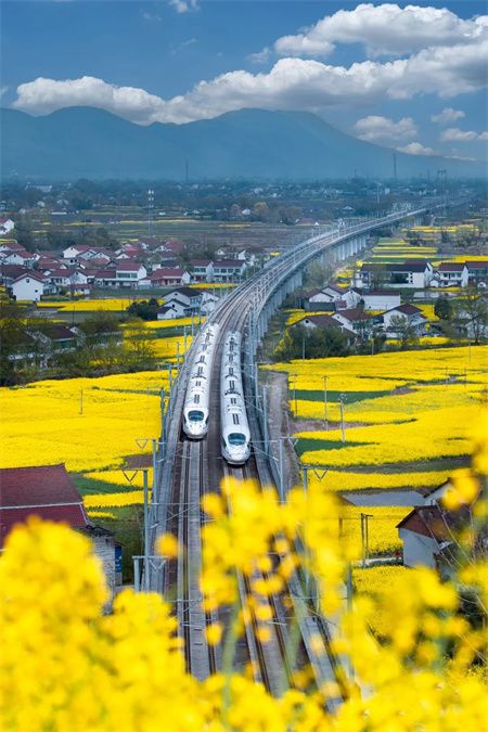 14d9052fbc118402f790475b8a49ba80.jpg 14d9052fbc118402f790475b8a49ba80.jpg