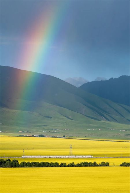 1688774bccf4f77351024b34f129d46e.jpg 1688774bccf4f77351024b34f129d46e.jpg