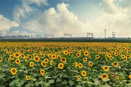 61a5faeb54bbfe9e577e776e2965de7f.jpg 61a5faeb54bbfe9e577e776e2965de7f.jpg