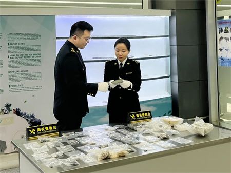 2d05983de164086ba7f0514520b31281.jpg 2d05983de164086ba7f0514520b31281.jpg