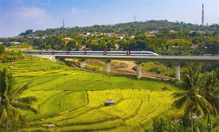 c80a7e9c3f803f07b0326c61becb530f.jpg c80a7e9c3f803f07b0326c61becb530f.jpg