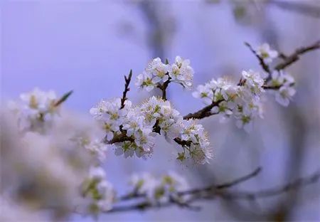 396706d372db0fd53e6d0913019ee45c.jpg 图片