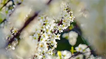 fd09769fb1737a07fd133325758dbbda.jpg 图片