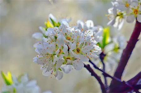 0431cb7235669c730bff0570e5d84139.jpg 图片