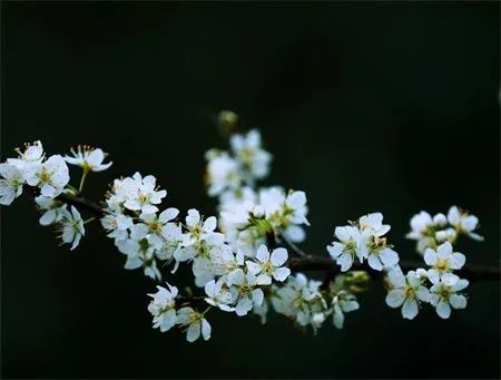 7bec719adfc8f867ef4bd540fd684c98.jpg 图片