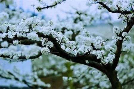 0d4edf0a031206cd751b4e0379791a56.jpg 图片