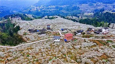 0e47420713adb6af19494c13e41a4d73.jpg 图片