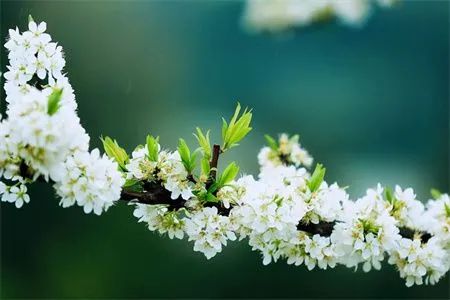 8e3ddb7b40c7649ddf744468e45df9a6.jpg 图片