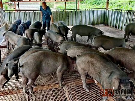 7fe3eb66e356629a52a2ce760ec0e3df.jpg 7fe3eb66e356629a52a2ce760ec0e3df.jpg