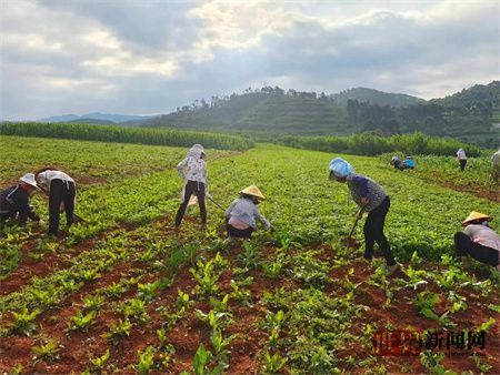 d2ffd464a4b9e58d38b14eef44dcb7cb.jpg d2ffd464a4b9e58d38b14eef44dcb7cb.jpg