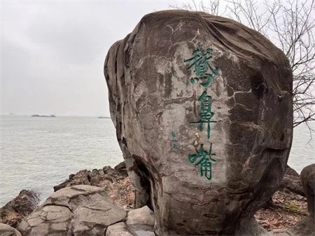 bb4ca331555b1d11d68b8dee0f582de4.jpg bb4ca331555b1d11d68b8dee0f582de4.jpg