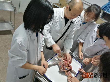 4397ebc2264dab26a75b88eb84c7a93f.jpg 4397ebc2264dab26a75b88eb84c7a93f.jpg