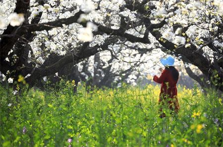 7c9e8d12e9649c0b6acc967a93b7624b.jpg 7c9e8d12e9649c0b6acc967a93b7624b.jpg