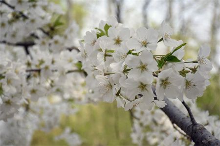 c08e2117870514cd919593b153f1a269.jpg c08e2117870514cd919593b153f1a269.jpg