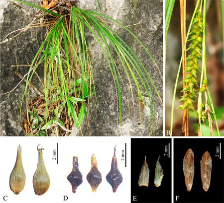 b485d46168fd3dd9780795d042c5e898.jpg b485d46168fd3dd9780795d042c5e898.jpg