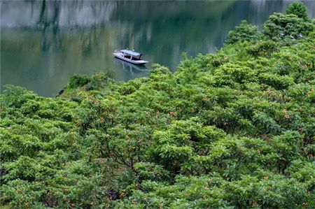 8b20ff982b67a4a506bb383528c26d11.jpg 8b20ff982b67a4a506bb383528c26d11.jpg