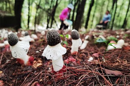 9b46a2540c9b90a31365d3b622b4c476.jpg 9b46a2540c9b90a31365d3b622b4c476.jpg