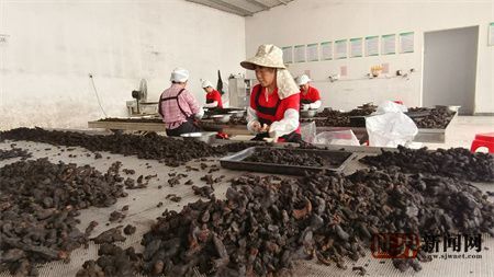 db33b550d2e3d61ef6b048a5514eab57.jpg db33b550d2e3d61ef6b048a5514eab57.jpg