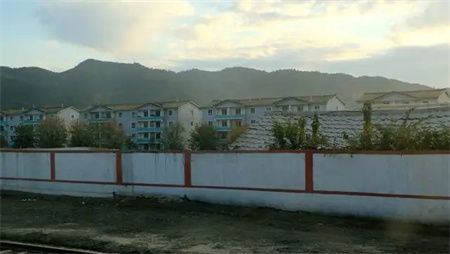 fce4159d69b8ff470620938e23d2faa5.jpg fce4159d69b8ff470620938e23d2faa5.jpg