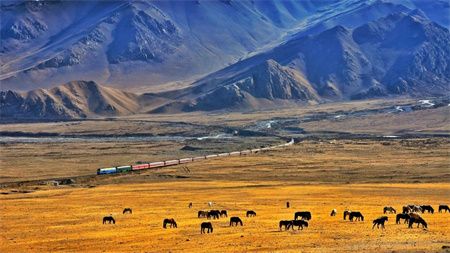 4f77b5e723c04ee2604043b721cf9403.jpg 4f77b5e723c04ee2604043b721cf9403.jpg