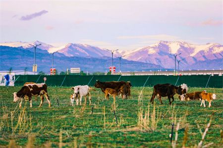 ac74f3c64cadb48dbc4b9c20e0dbbc07.jpg ac74f3c64cadb48dbc4b9c20e0dbbc07.jpg