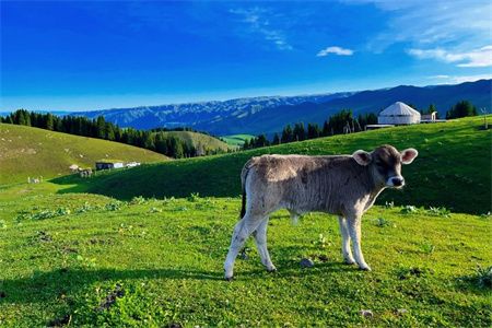 c96be14ca9508b753c13504fdf0a7f28.jpg c96be14ca9508b753c13504fdf0a7f28.jpg