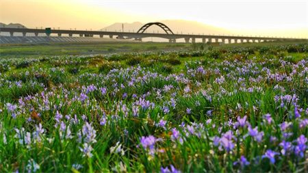 f8bcdd957a21d630218cb8b9c23a3779.jpg f8bcdd957a21d630218cb8b9c23a3779.jpg