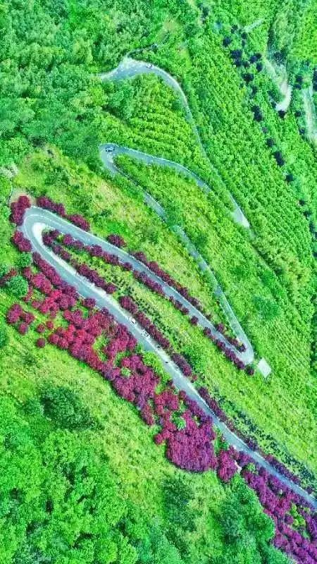 1ef6264f6c6f83ca89eaf013ccbdb926.jpg 1ef6264f6c6f83ca89eaf013ccbdb926.jpg