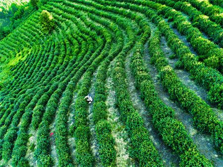 2e5f702e6e8a7e07e4b4e21524c781d9.jpg 2e5f702e6e8a7e07e4b4e21524c781d9.jpg