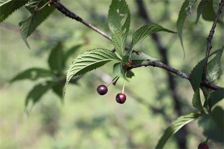 9647d7517208e311f58064012c5749b4.jpg 9647d7517208e311f58064012c5749b4.jpg