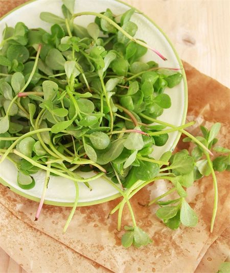 ea91f97c010cd74330af43233ba58cbd.jpg ea91f97c010cd74330af43233ba58cbd.jpg