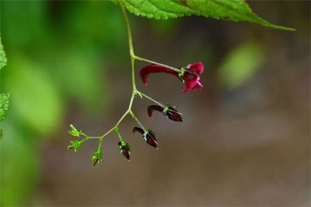 9bde21308be3042248d94c39432a2c2d.jpg 9bde21308be3042248d94c39432a2c2d.jpg